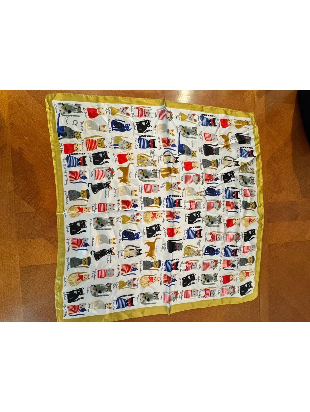 Colorful Cat Print Scarf with Yellow Border 324